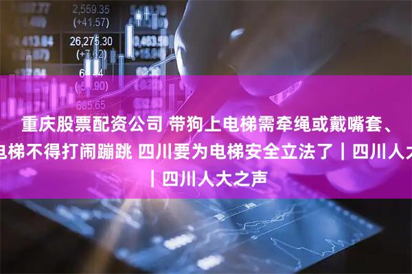 重庆股票配资公司 带狗上电梯需牵绳或戴嘴套、乘坐电梯不得打闹蹦跳 四川要为电梯安全立法了｜四川人大之声