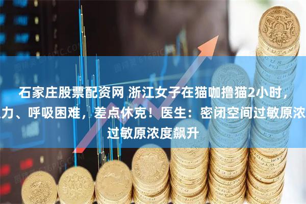 石家庄股票配资网 浙江女子在猫咖撸猫2小时，头晕乏力、呼吸困难，差点休克！医生：密闭空间过敏原浓度飙升